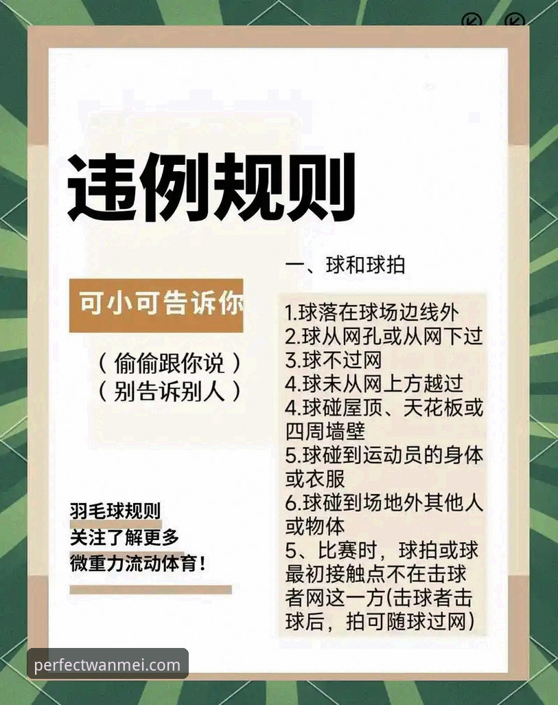 完美体育打不开使用指南 揭秘完美体育打不开背后的真相:用户必读的完整使用指南